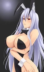 thumb/t_0000128577.jpg