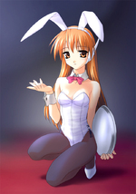 thumb/t_0000132151.jpg