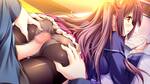 thumb/t_0000132971.jpg