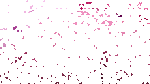 thumb/t_0000134283.gif