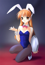 thumb/t_0000132206.jpg
