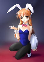 thumb/t_0000132255.jpg