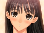 thumb/t_0000111506.jpg